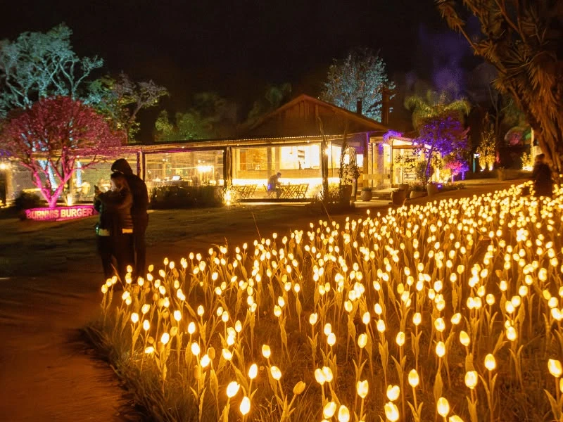 Lumni Experience Gramado