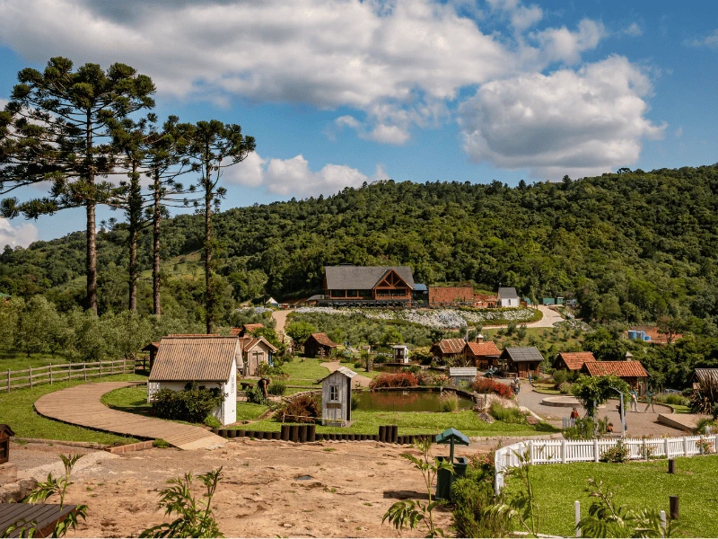Olivas de Gramado